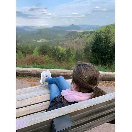 Haus Am Kirchberg In Garden Holiday home Bruchweiler-Barenbach