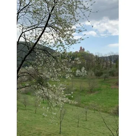 Holiday home Haus Am Kirchberg In Garden Bruchweiler-Barenbach