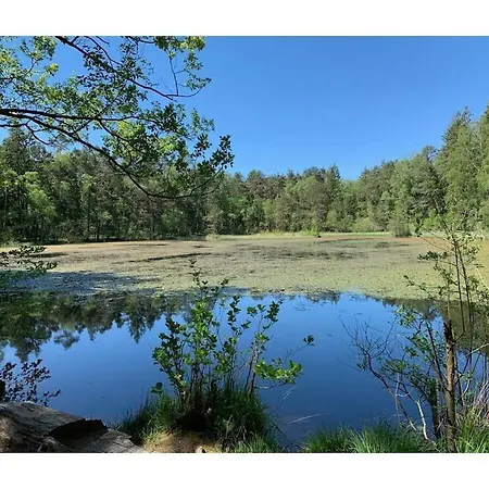 Holiday home Haus Am Kirchberg In Garden Bruchweiler-Barenbach