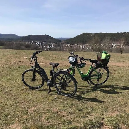 Holiday home Haus Am Kirchberg In Garden