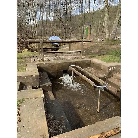 Haus Am Kirchberg In Garden Holiday home Bruchweiler-Barenbach