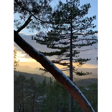 Haus Am Kirchberg In Garden Holiday home