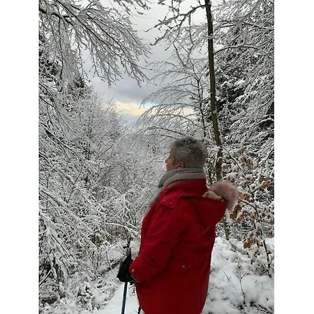 Holiday home Haus Am Kirchberg In Garden