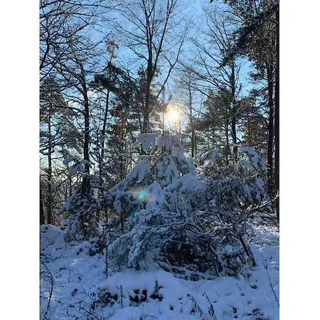 Holiday home Haus Am Kirchberg In Garden *