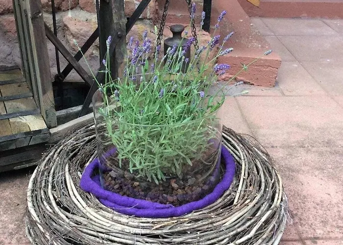 Ferienhaus Haus Am Kirchberg In Garden *