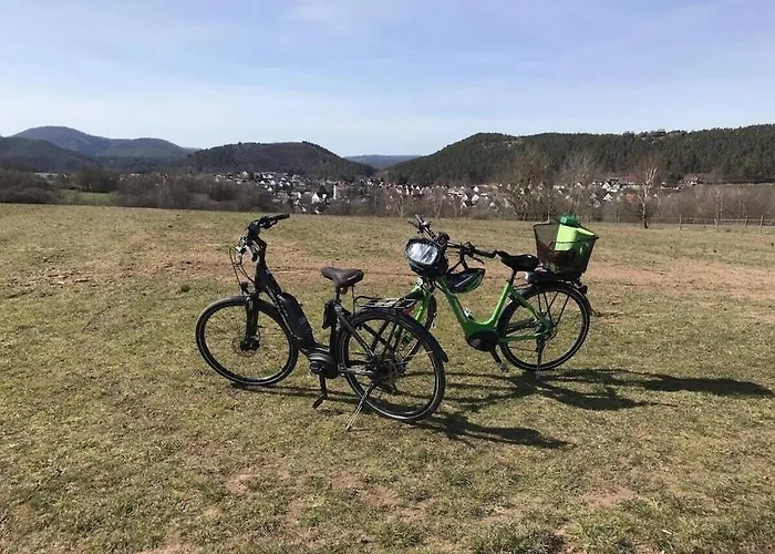 Ferienhaus Haus Am Kirchberg In Garden