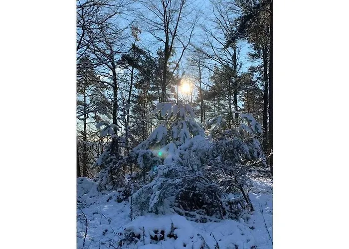 Casa de Férias Haus Am Kirchberg In Garden *